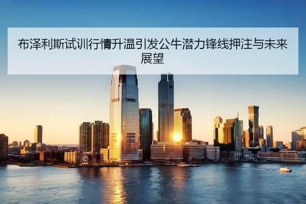 布泽利斯试训行情升温引发公牛潜力锋线押注与未来展望