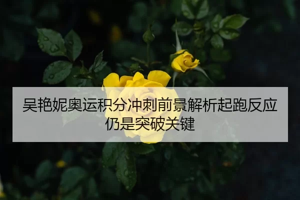 吴艳妮奥运积分冲刺前景解析起跑反应仍是突破关键