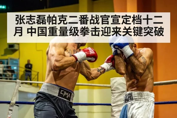Zhang Zhilei boxing heavyweight